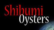 Shibumi Oysters